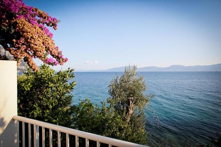 Apartments Kalaba - Dalma I Podaca Buitenkant foto